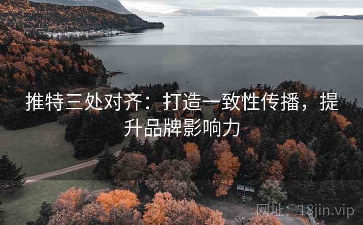 推特三处对齐:打造一致性传播,提升品牌影响力