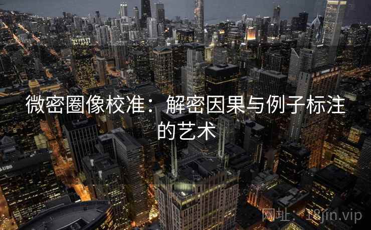 微密圈像校准：解密因果与例子标注的艺术