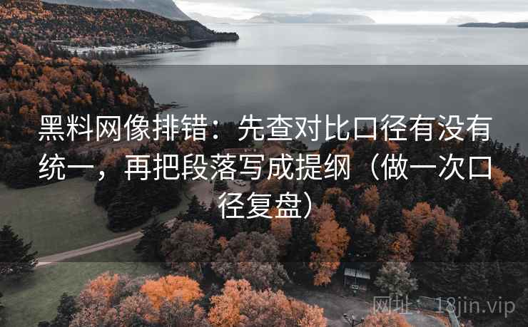 黑料网像排错：先查对比口径有没有统一，再把段落写成提纲（做一次口径复盘）